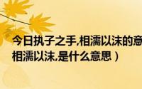 今日执子之手,相濡以沫的意思是什么（执子之手,与子偕老,相濡以沫,是什么意思）