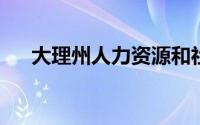 大理州人力资源和社会保障局官网电话