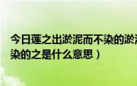 今日莲之出淤泥而不染的淤泥是什么意思（莲之出淤泥而不染的之是什么意思）