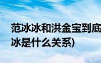 范冰冰和洪金宝到底是什么关系(洪金宝范冰冰是什么关系)