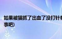 如果被猫抓了出血了没打针有事吗(被猫抓了出血了不打针没事吧)