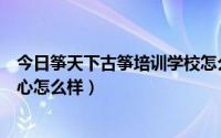 今日筝天下古筝培训学校怎么样（筝和天下琴筝文化艺术中心怎么样）