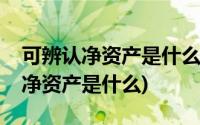 可辨认净资产是什么时候的公允价值(可辨认净资产是什么)