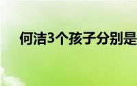 何洁3个孩子分别是谁的(何洁几个孩子)