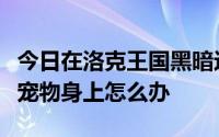 今日在洛克王国黑暗边缘不开音波仪打鲨鱼在宠物身上怎么办