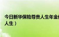 今日新华保险尊贵人生年金保险分红型条款（新华保险尊贵人生）