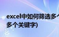 excel中如何筛选多个关键字(excel如何筛选多个关键字)