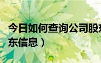 今日如何查询公司股东名册（如何查询公司股东信息）