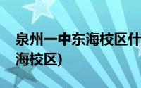 泉州一中东海校区什么时候成立(泉州一中东海校区)