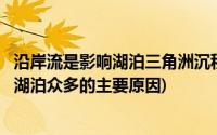 沿岸流是影响湖泊三角洲沉积物的重要因素(分析奴河三角洲湖泊众多的主要原因)