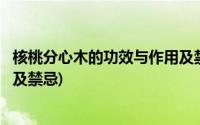 核桃分心木的功效与作用及禁忌症(核桃分心木的功效与作用及禁忌)