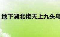 地下湖北佬天上九头鸟什么意思(地下湖北佬)