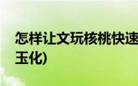 怎样让文玩核桃快速玉化(文玩核桃怎样快速玉化)