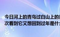 今日河上的青鸟过白山上的青花在燃烧。今年春天一次又一次看到它又想回到过年是什么意思