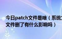 今日patch文件是啥（系统文件里好多patch文件这是什么文件删了有什么影响吗）