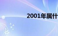 2001年属什么生肖(200)