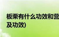 板栗有什么功效和营养价值(板栗的营养价值及功效)