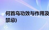 何首乌功效与作用及禁忌症(何首乌的功效与禁忌)