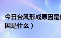 今日台风形成原因是什么造成的（台风形成原因是什么）