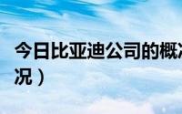 今日比亚迪公司的概况简介（比亚迪公司的概况）