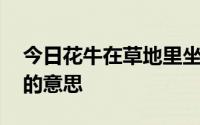 今日花牛在草地里坐,压扁了一穗剪秋罗的扁的意思