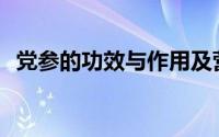 党参的功效与作用及营养价值(党参的功效)