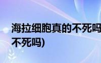 海拉细胞真的不死吗百度百科(海拉细胞真的不死吗)