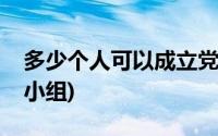 多少个人可以成立党小组(多少人可以成立党小组)