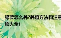 绿萝怎么养?养殖方法和注意事项(绿萝的养殖方法和注意事项大全)