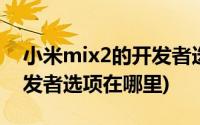 小米mix2的开发者选项在哪里(小米mix2开发者选项在哪里)