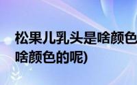 松果儿乳头是啥颜色的呢图片(松果儿乳头是啥颜色的呢)