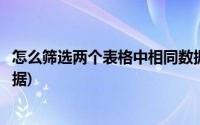 怎么筛选两个表格中相同数据(两个不同表格怎么筛选相同数据)