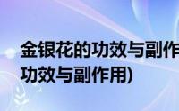 金银花的功效与副作用中药一号网(金银花的功效与副作用)