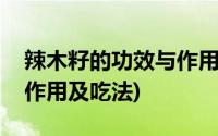 辣木籽的功效与作用及禁忌(辣木籽的功效与作用及吃法)