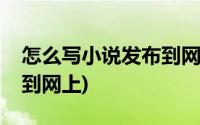 怎么写小说发布到网上卖书(怎么写小说发布到网上)