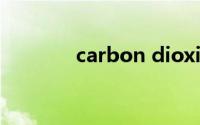 carbon dioxide是什么意思