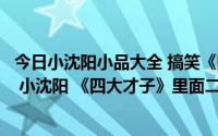 今日小沈阳小品大全 搞笑《四大才子》小沈阳（欢乐喜剧人 小沈阳 《四大才子》里面二小姐是谁扮演的）