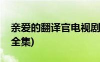 亲爱的翻译官电视剧全集(情爱的翻译官电视全集)