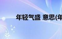 年轻气盛 意思(年轻气盛什么意思)