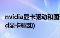 nvidia显卡驱动和图形驱动安装哪个(direct3d显卡驱动)