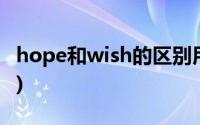 hope和wish的区别用法(hope和wish的区别)