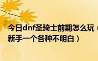 今日dnf圣骑士前期怎么玩（DNF圣骑士怎么玩和加点完全新手一个各种不明白）