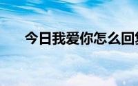 今日我爱你怎么回复（我爱你怎么办）