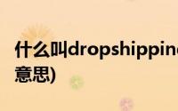 什么叫dropshipping(dropshipping是什么意思)