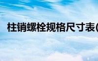 柱销螺栓规格尺寸表(弹性柱销螺栓规格表)