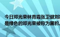 今日邓光荣林青霞张卫健刘家辉主演了一部电影其中林青霞是绿色的邓光荣被称为黑豹。这部电影叫什么名字