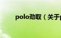 polo劲取（关于polo劲取的介绍）