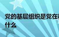 党的基层组织是党在社会基层组织中的什么和什么