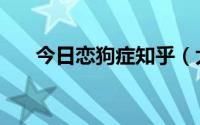 今日恋狗症知乎（大家有恋狗癖吗》）