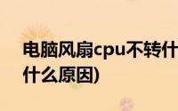 电脑风扇cpu不转什么原因(cpu风扇不转是什么原因)